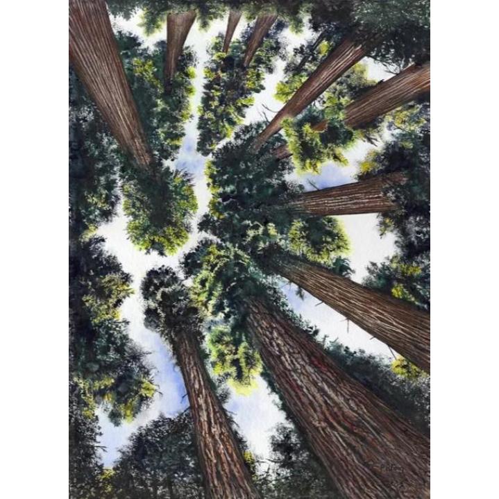 Paula Fong Greeting Cards