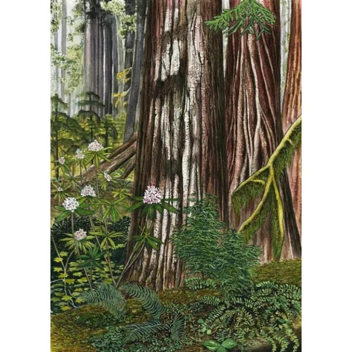 Paula Fong Greeting Cards