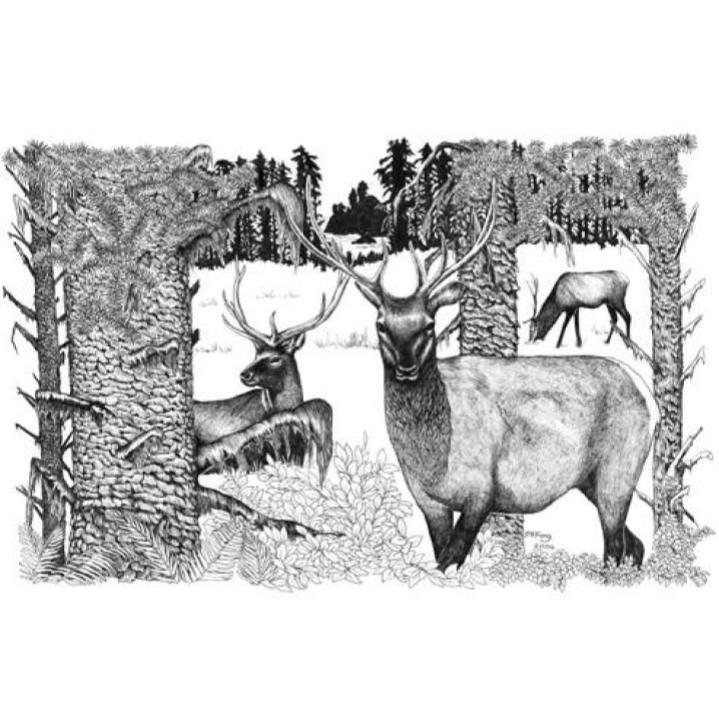 Paula Fong Greeting Cards