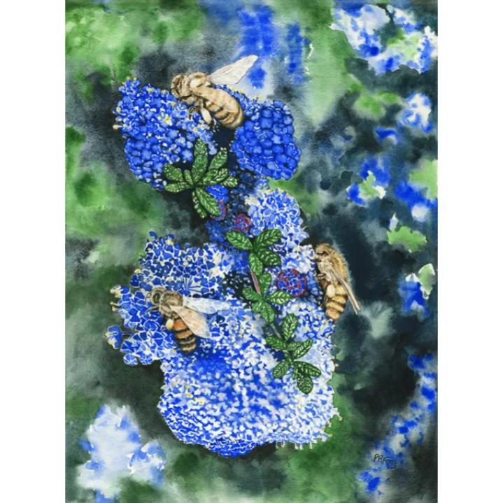 Paula Fong Greeting Cards