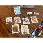 Paula Fong Greeting Card Packs