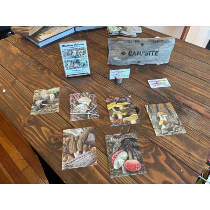 Paula Fong Greeting Card Packs