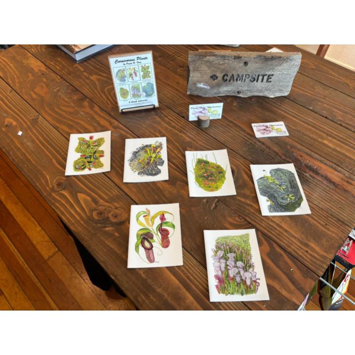 Paula Fong Greeting Card Packs