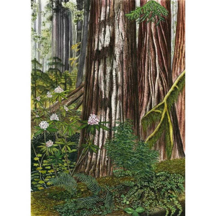 Paula Fong Greeting Cards