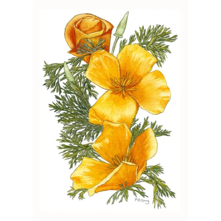 Paula Fong Greeting Cards