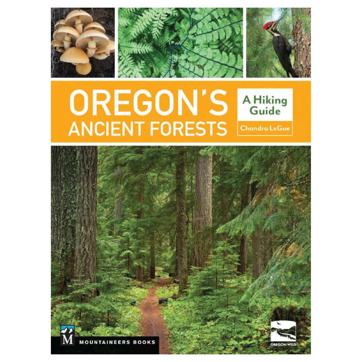 Oregon's Ancient Forests: A Hiking Guide