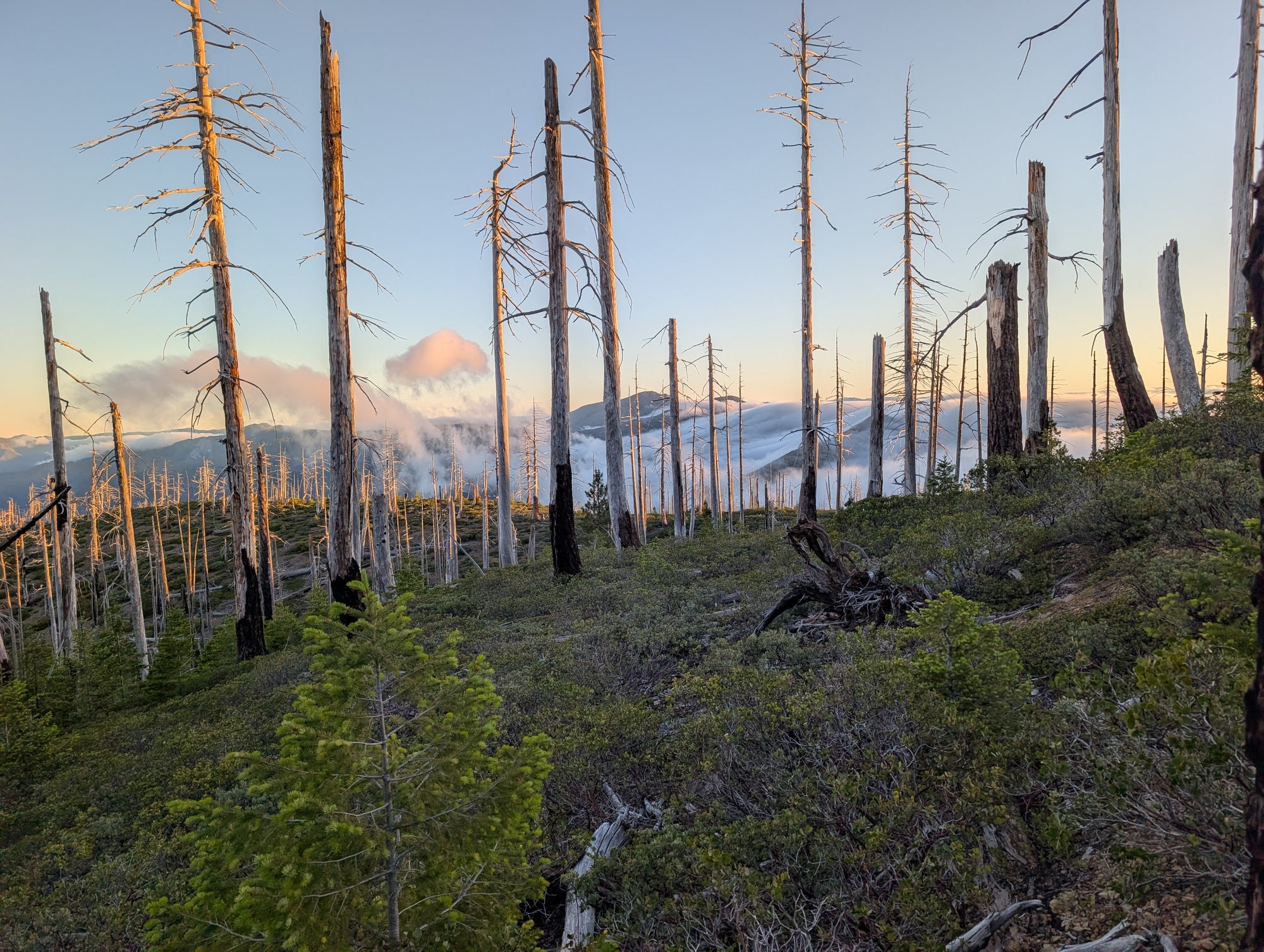 Kalmiopsis Wilderness South Map