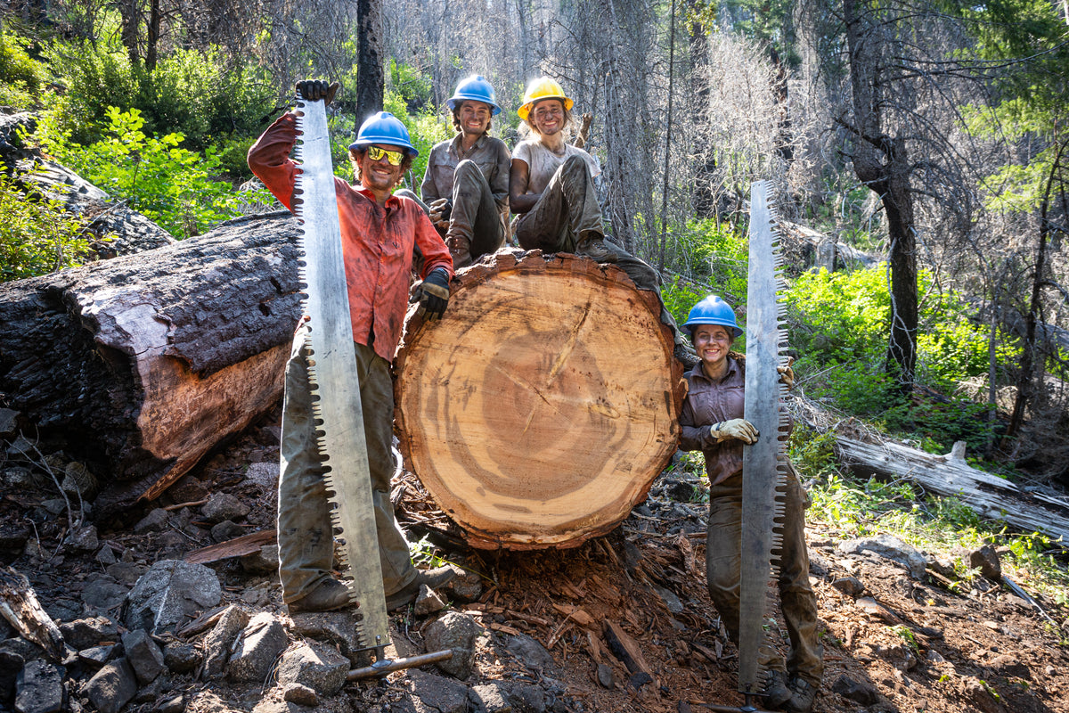 Siskiyou Wilderness Map Set