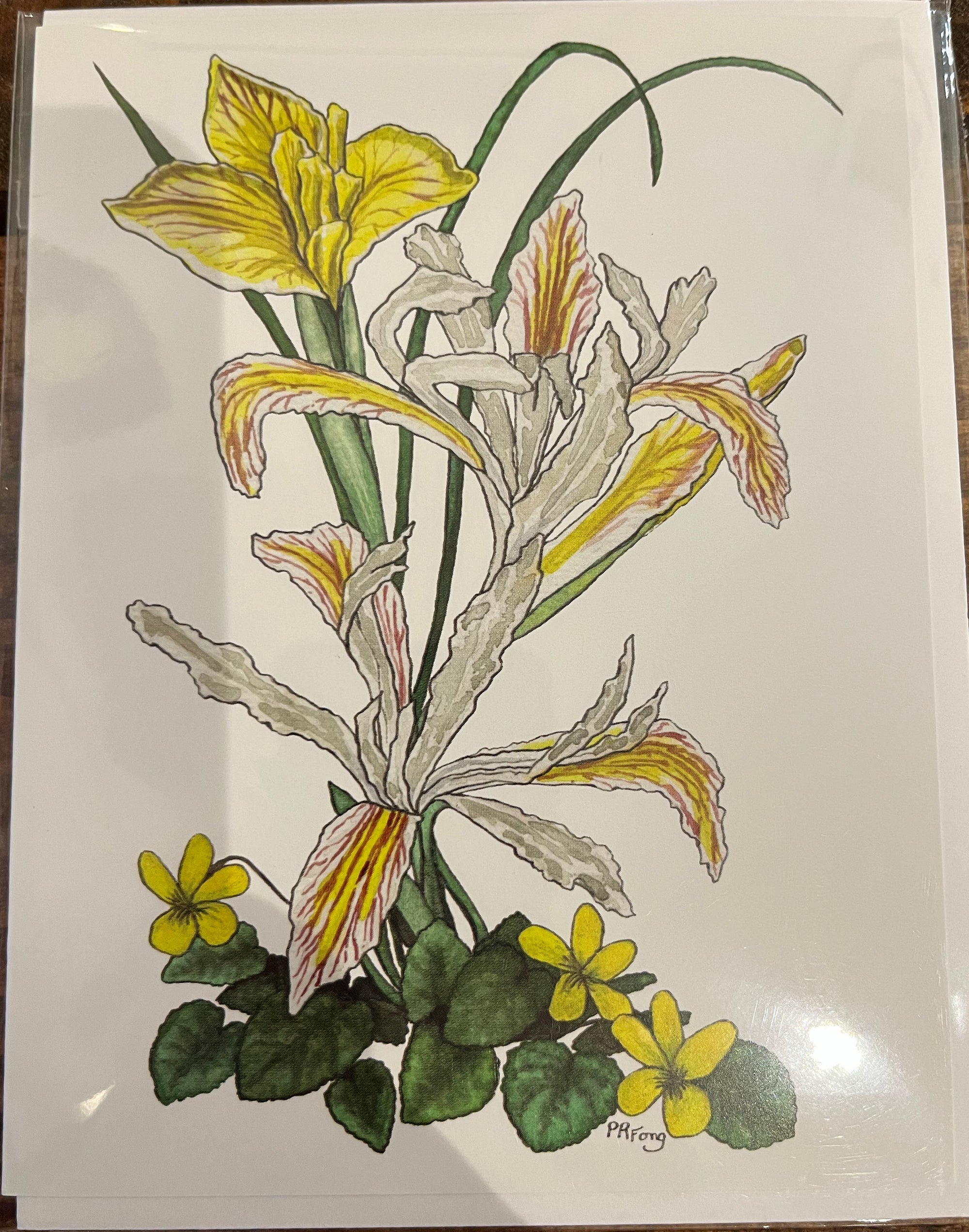 Paula Fong Greeting Cards