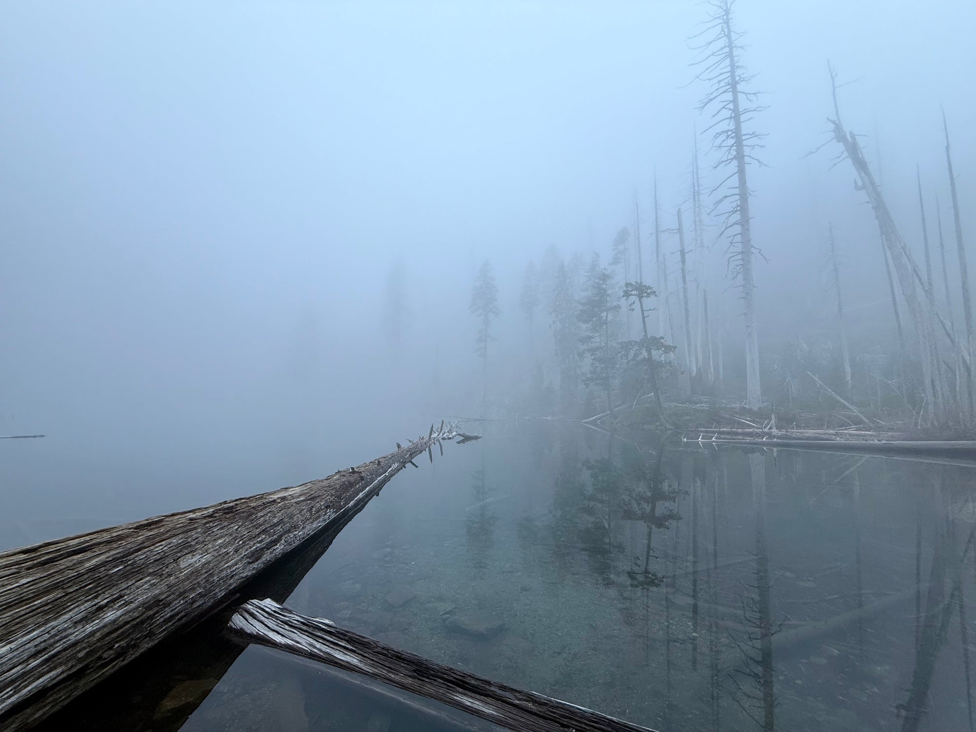 Large Photography Print