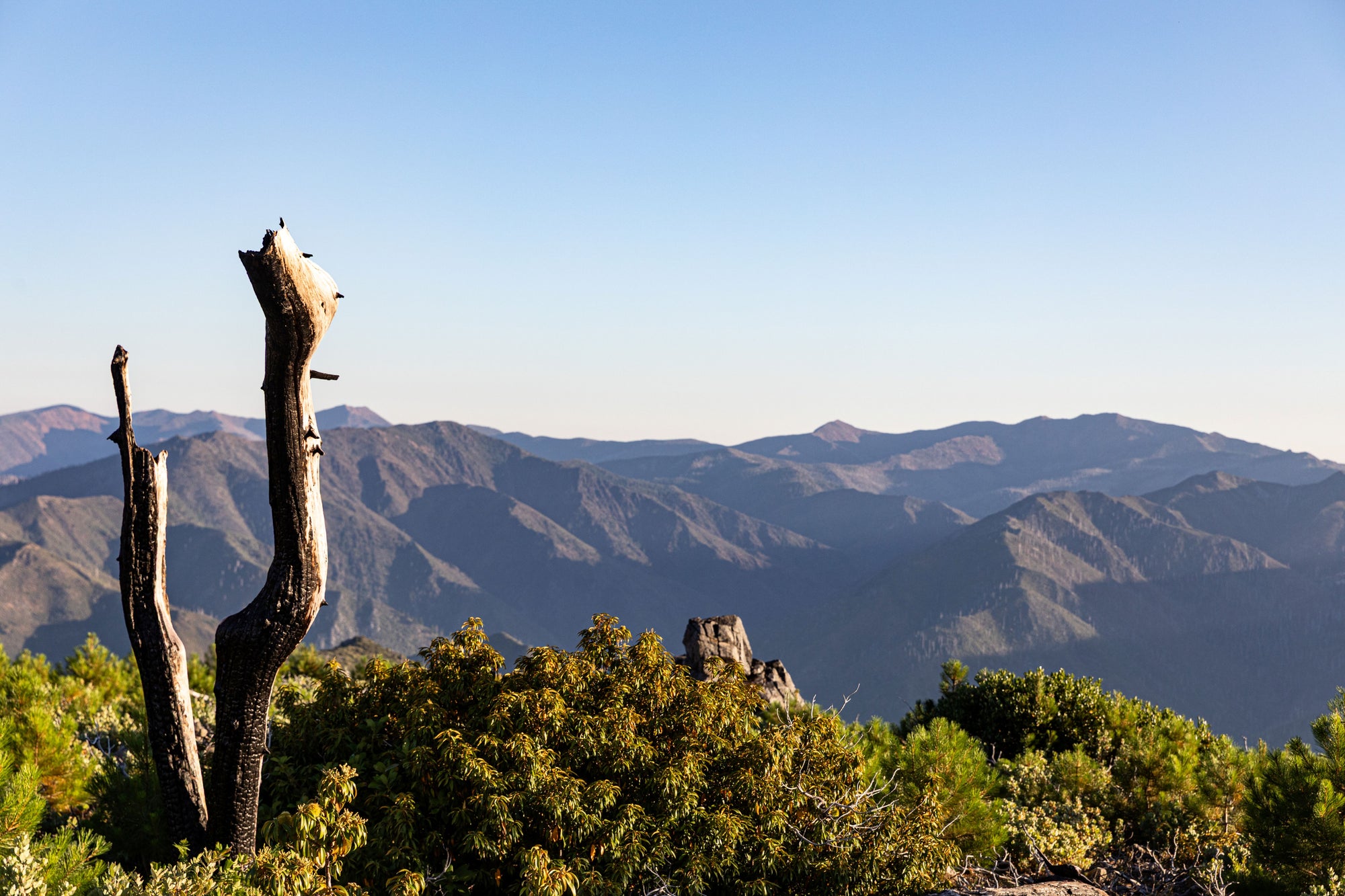 Large Photography Print