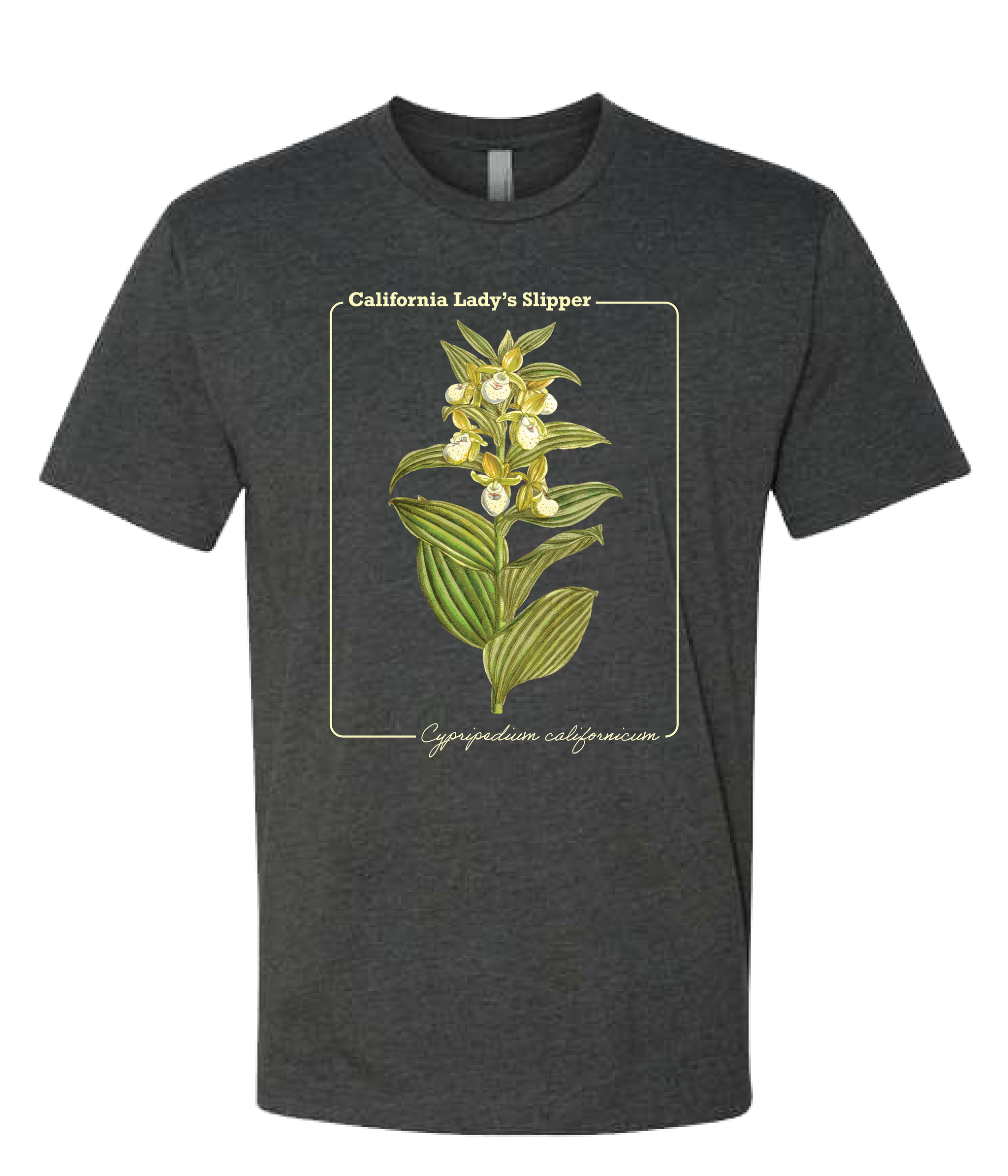 California Lady's Slipper Tee