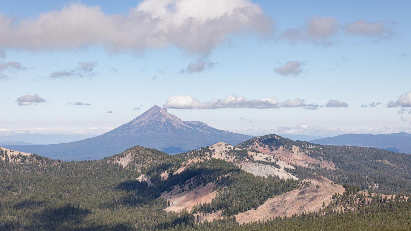 Medium Photography Print